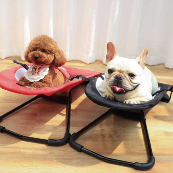 dog-chair